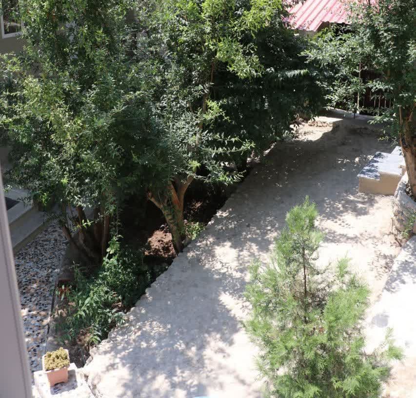 رزرو کلبه جنگلی در بهشهر
